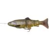 LEURRE SOUPLE ARME SAVAGE GEAR 4D LINE THRU TROUT - 25CM