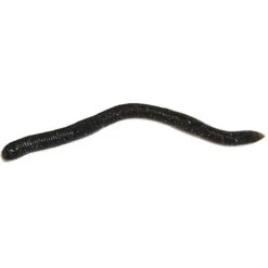 LEURRE SOUPLE DAMIKI WATER CRAWLER - 11.5CM - PAR 18