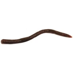 LEURRE SOUPLE DAMIKI WATER CRAWLER - 14CM - PAR 18