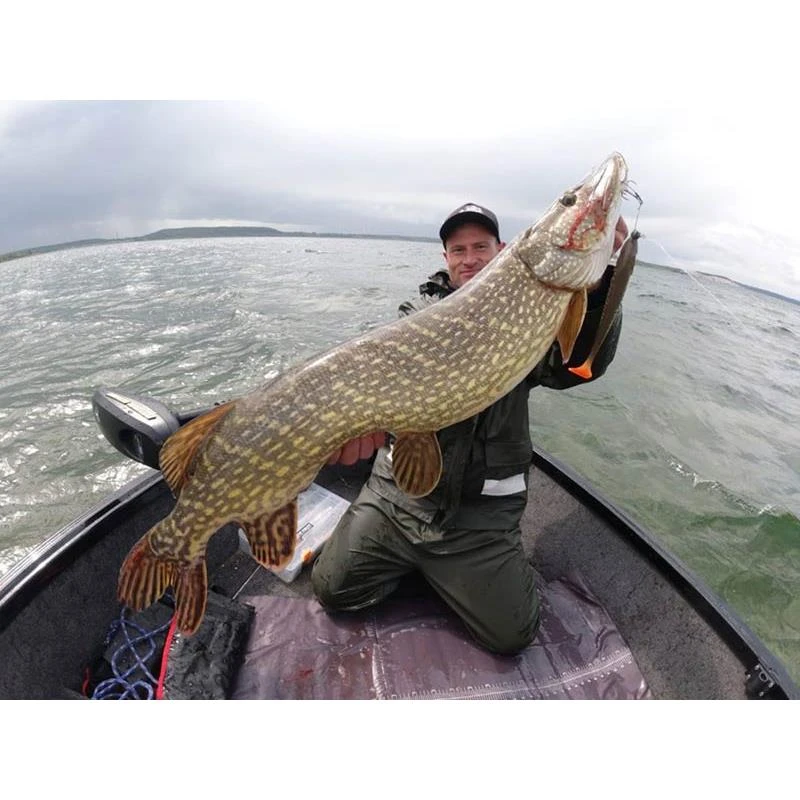 LEURRE SOUPLE HOSTAGEVALLEY SHAD - 26CM – Image 5