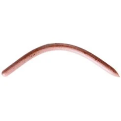 LEURRE SOUPLE REINS FAT SWAMP 14CM - PACK